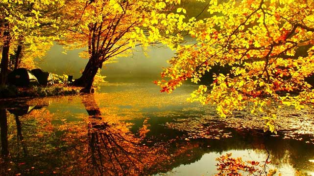 Красивая золотая осень